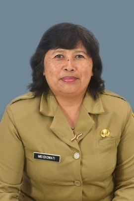 Mei Ekowati